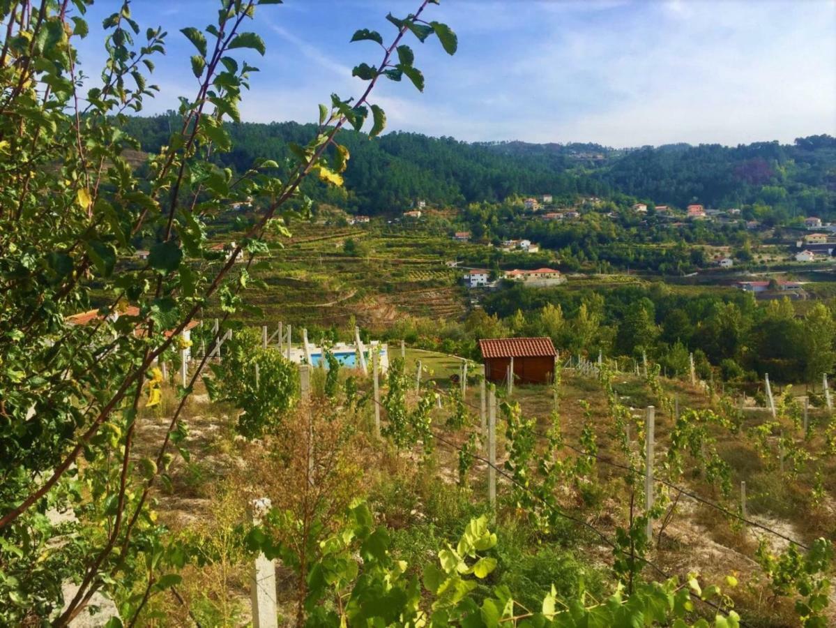 Willa Quinta Do Peso Amarante Zewnętrze zdjęcie